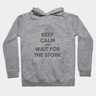 Keep Calm And Wait For The Stork Baby Delivery Hoodie